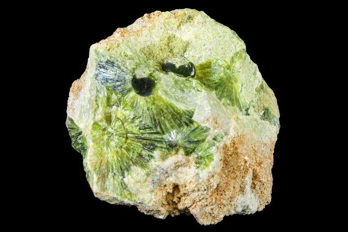 Radiating, Green Wavellite Crystal Aggregation - Arkansas #163082